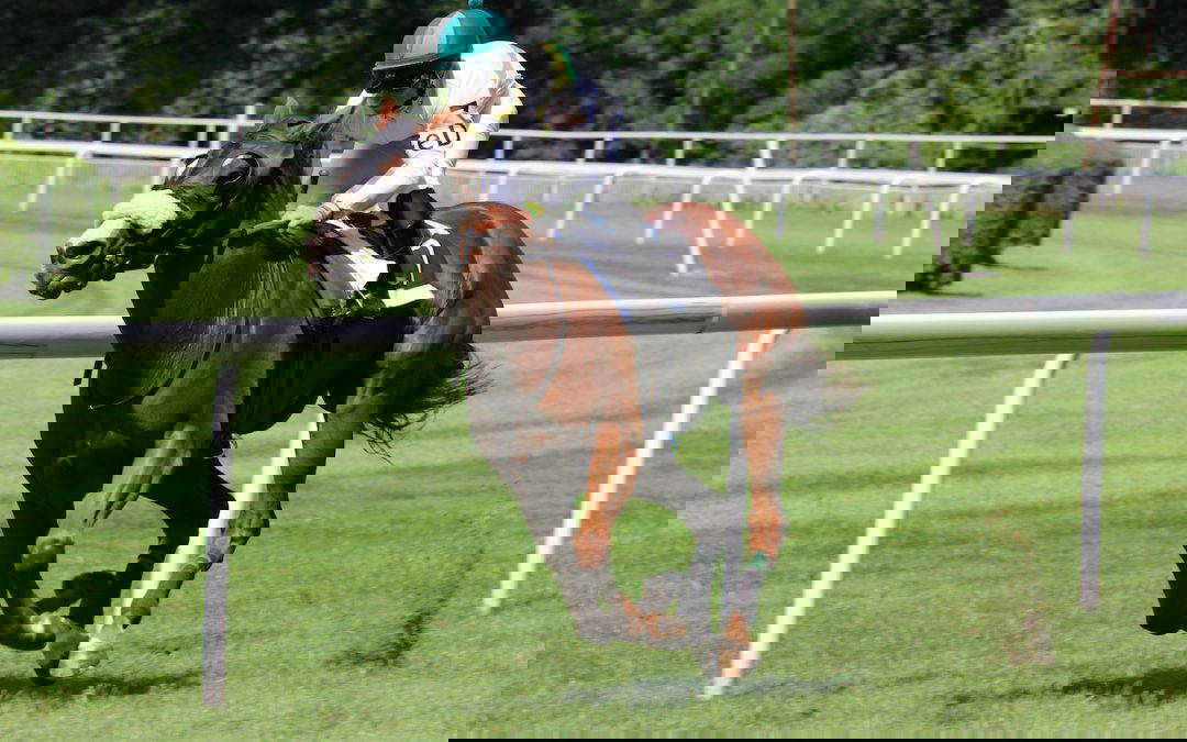 York Races – Dante Festival Charity Lunch
