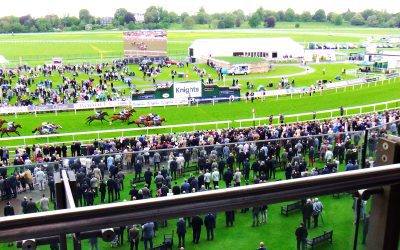 York Races Charity Lunch 2024